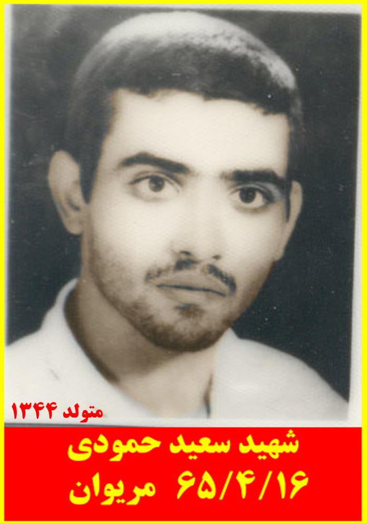 فاقد تصویر
